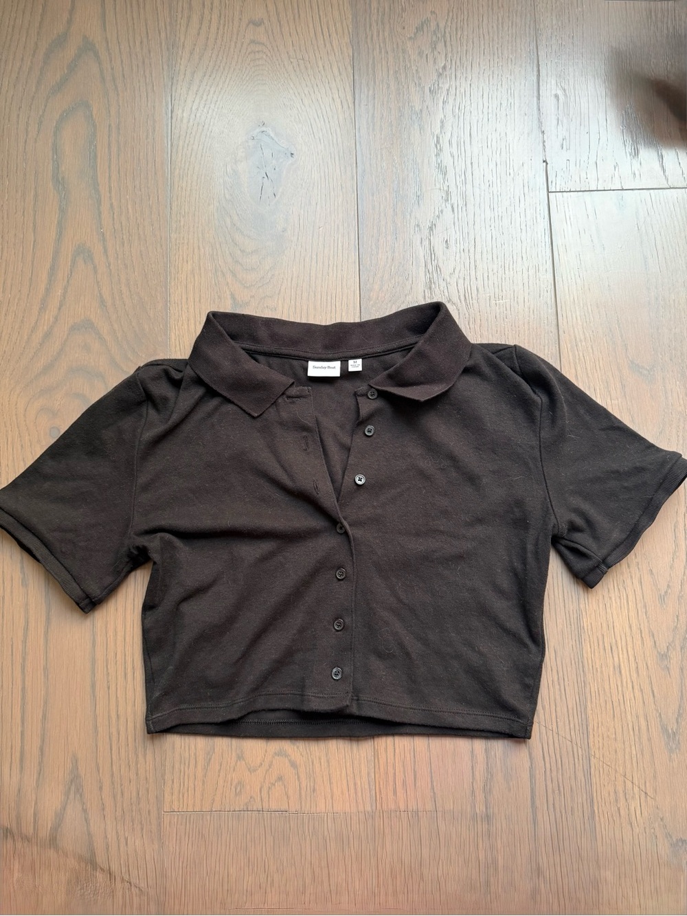 Aritzia Sunday Best Audio Cropped Polo Top
